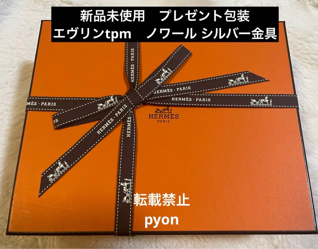 【最終値下げ！新品未使用】エルメス ミニエブリンTPM ノワール シルバー金具