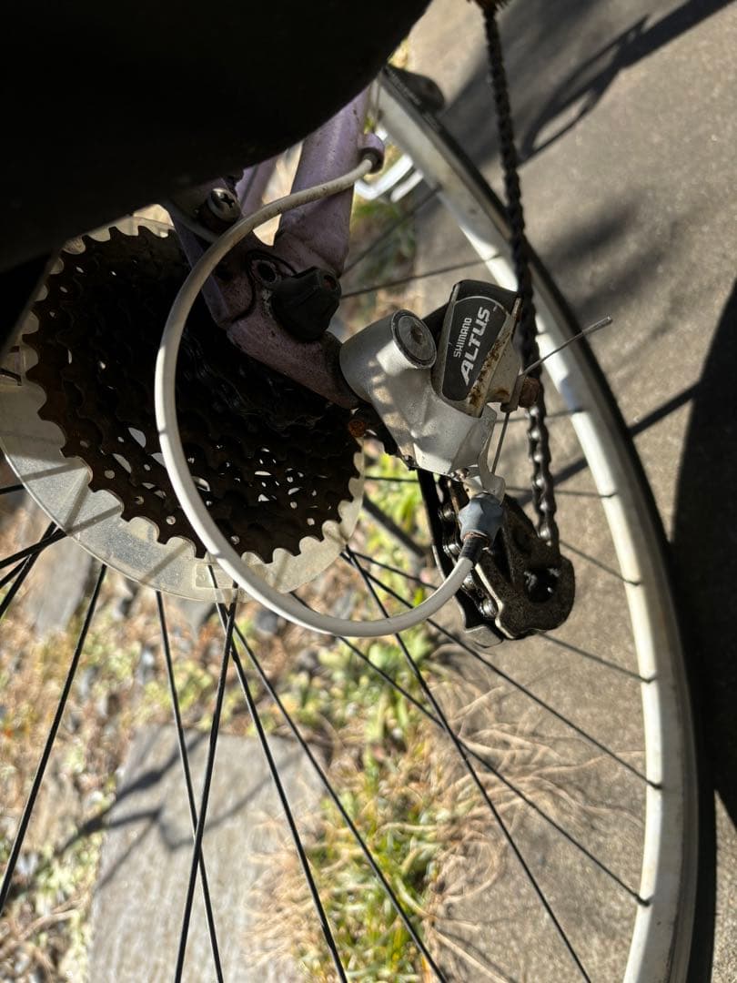 ルイガノ　chasse 専用バッグ２個付き　(引取限定)