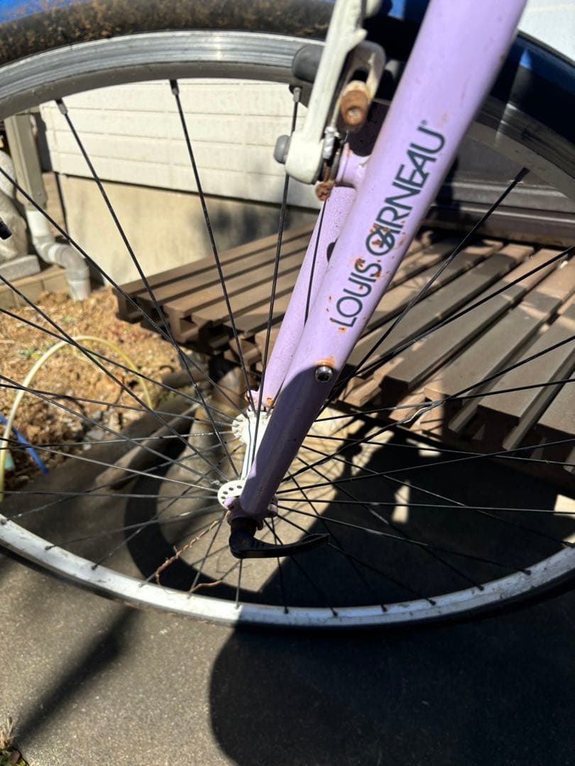 ルイガノ　chasse 専用バッグ２個付き　(引取限定)