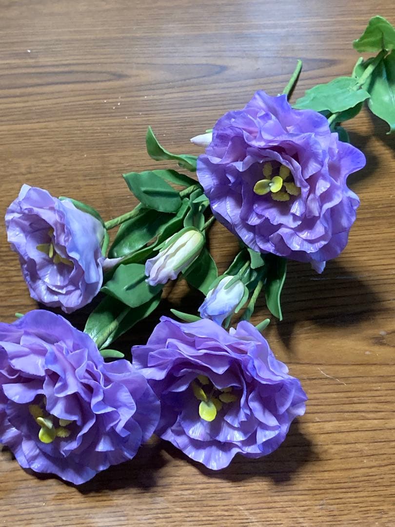 マーコ クレイフラワー　オルレア　トルコ桔梗