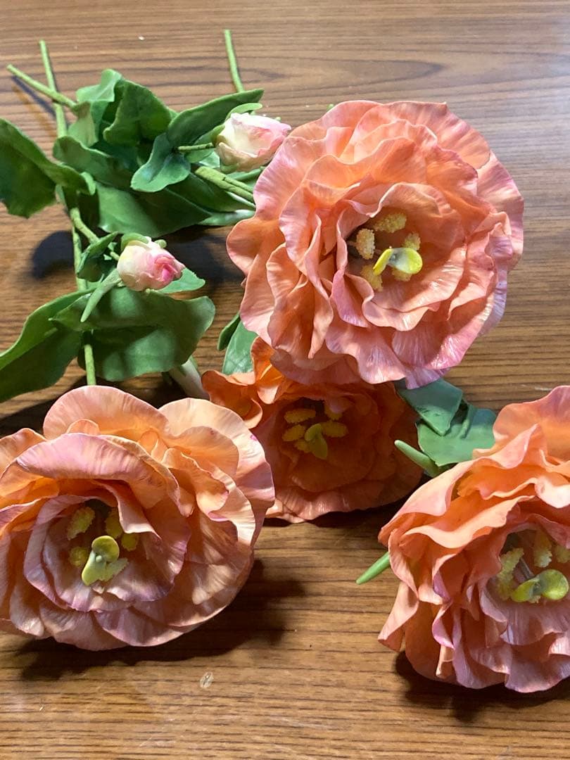 マーコ クレイフラワー　オルレア　トルコ桔梗