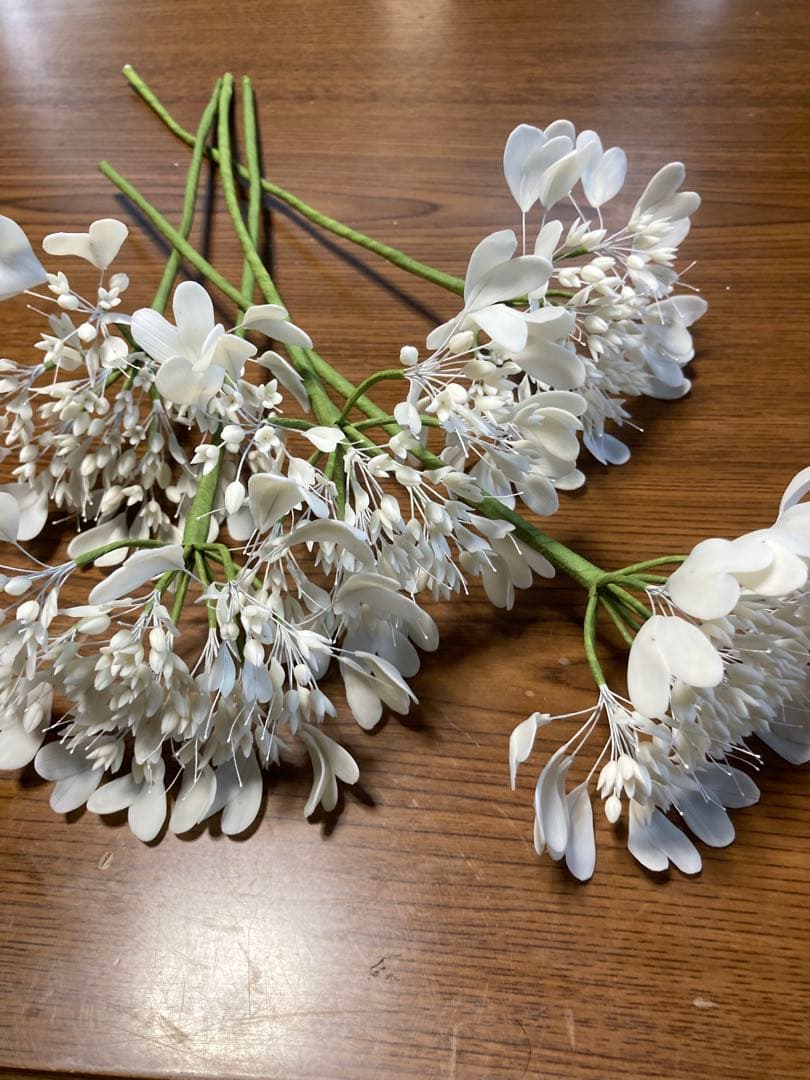 マーコ クレイフラワー　オルレア　トルコ桔梗