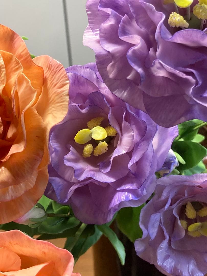 マーコ クレイフラワー　オルレア　トルコ桔梗