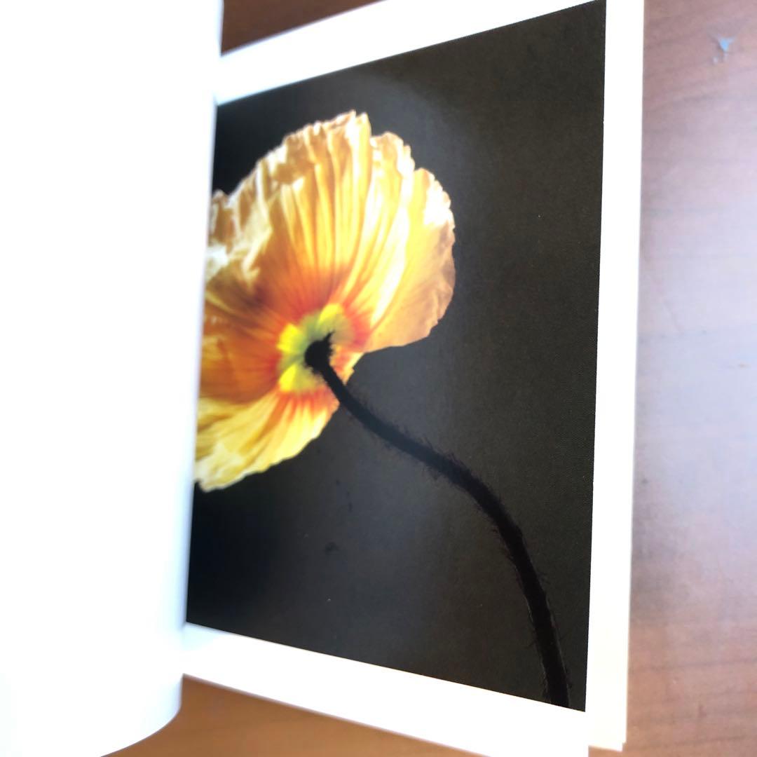 (レア)Flowers by Mapplethorpe メイプルソープの花 洋書