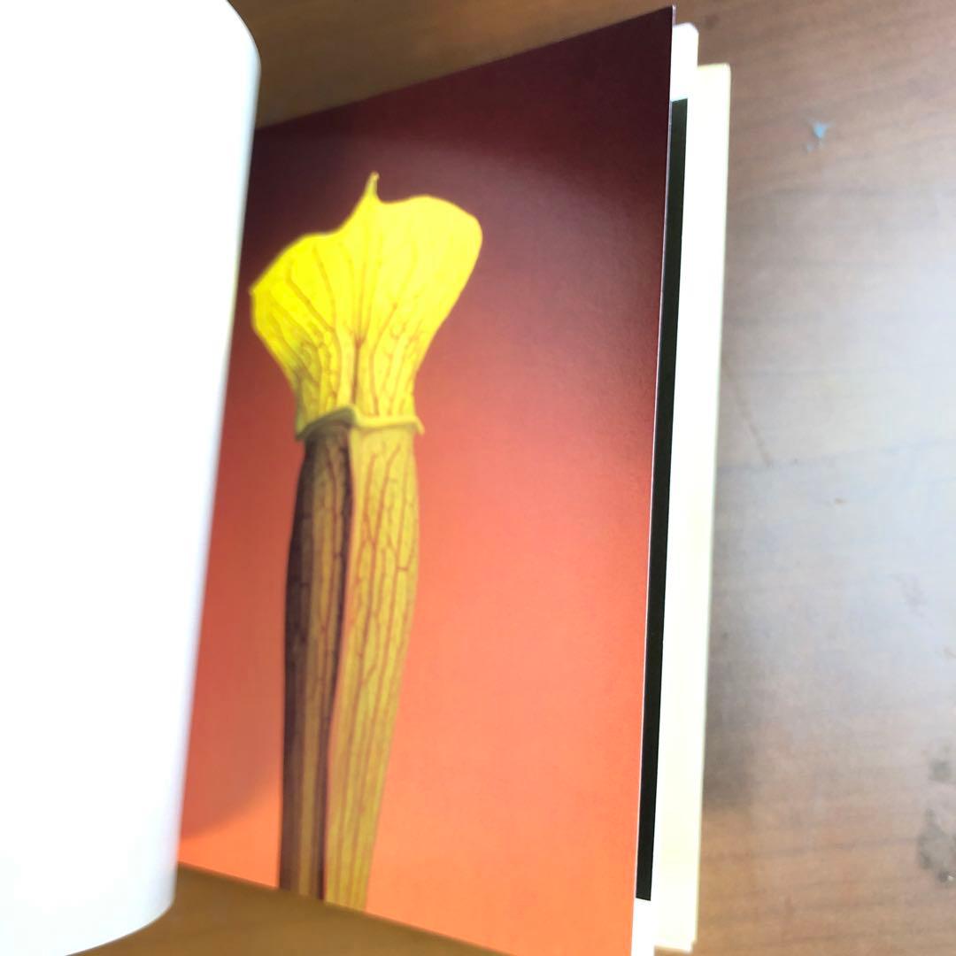 (レア)Flowers by Mapplethorpe メイプルソープの花 洋書