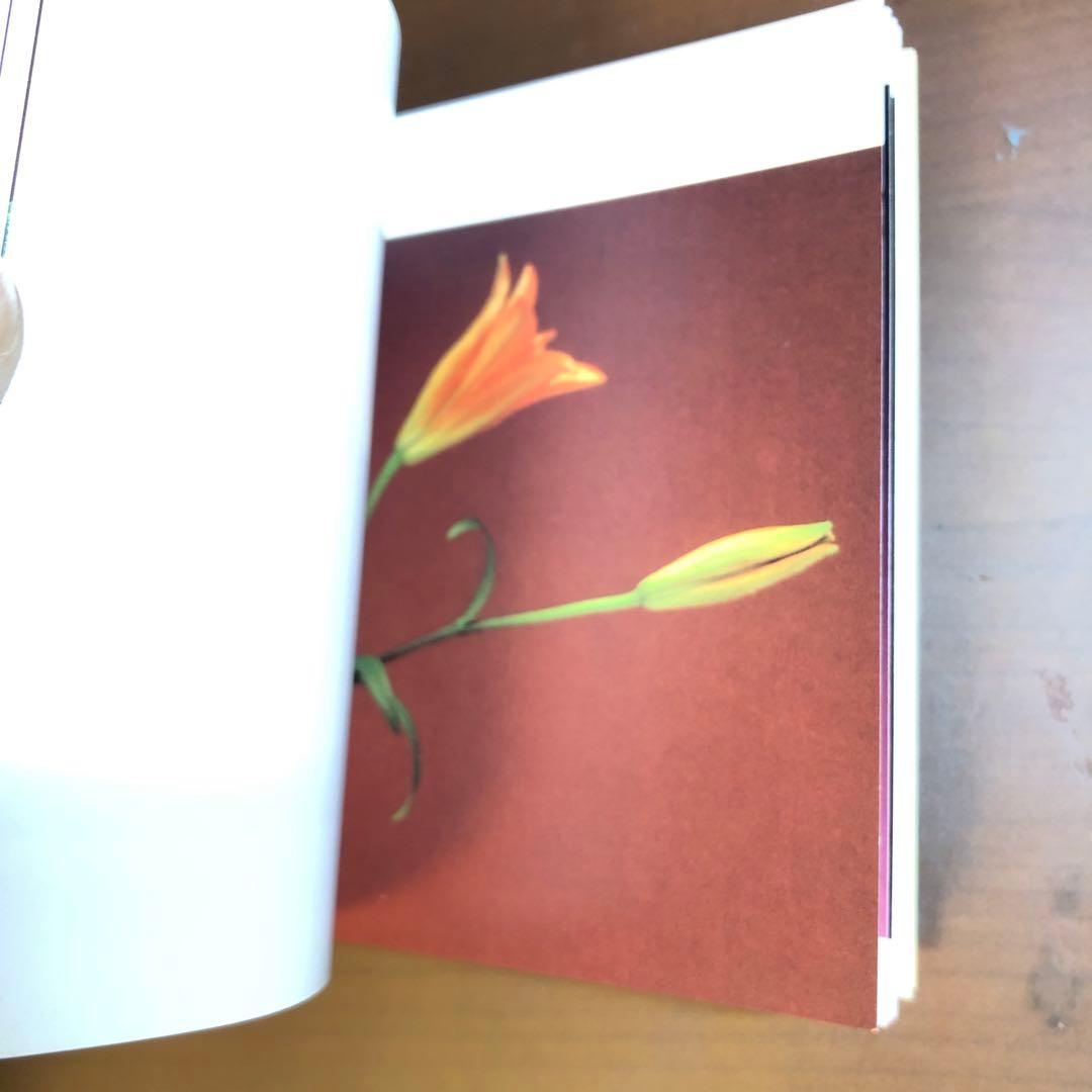 (レア)Flowers by Mapplethorpe メイプルソープの花 洋書