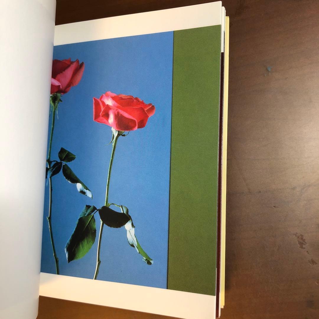(レア)Flowers by Mapplethorpe メイプルソープの花 洋書