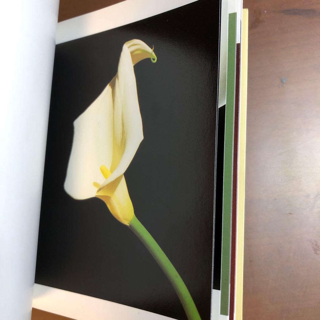 (レア)Flowers by Mapplethorpe メイプルソープの花 洋書
