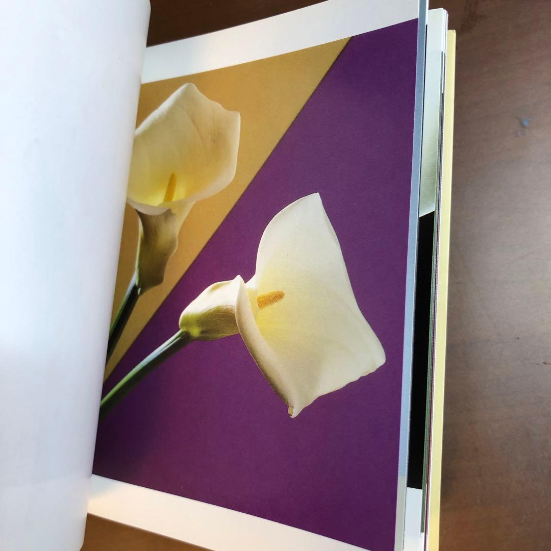 (レア)Flowers by Mapplethorpe メイプルソープの花 洋書