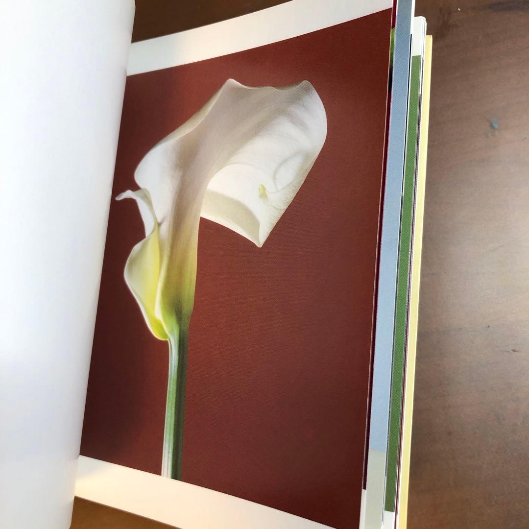 (レア)Flowers by Mapplethorpe メイプルソープの花 洋書