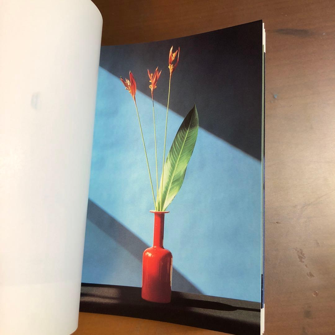 (レア)Flowers by Mapplethorpe メイプルソープの花 洋書