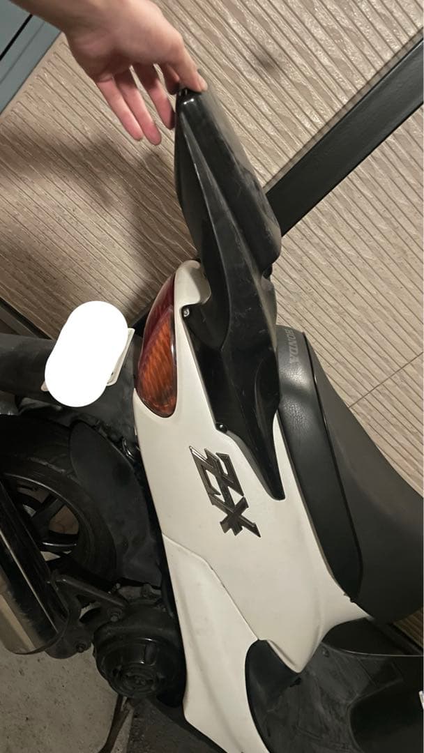 紫紋？ スーパーディオ？ 羽