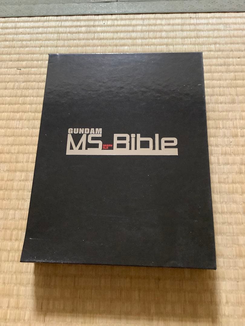 MS Bibleセット