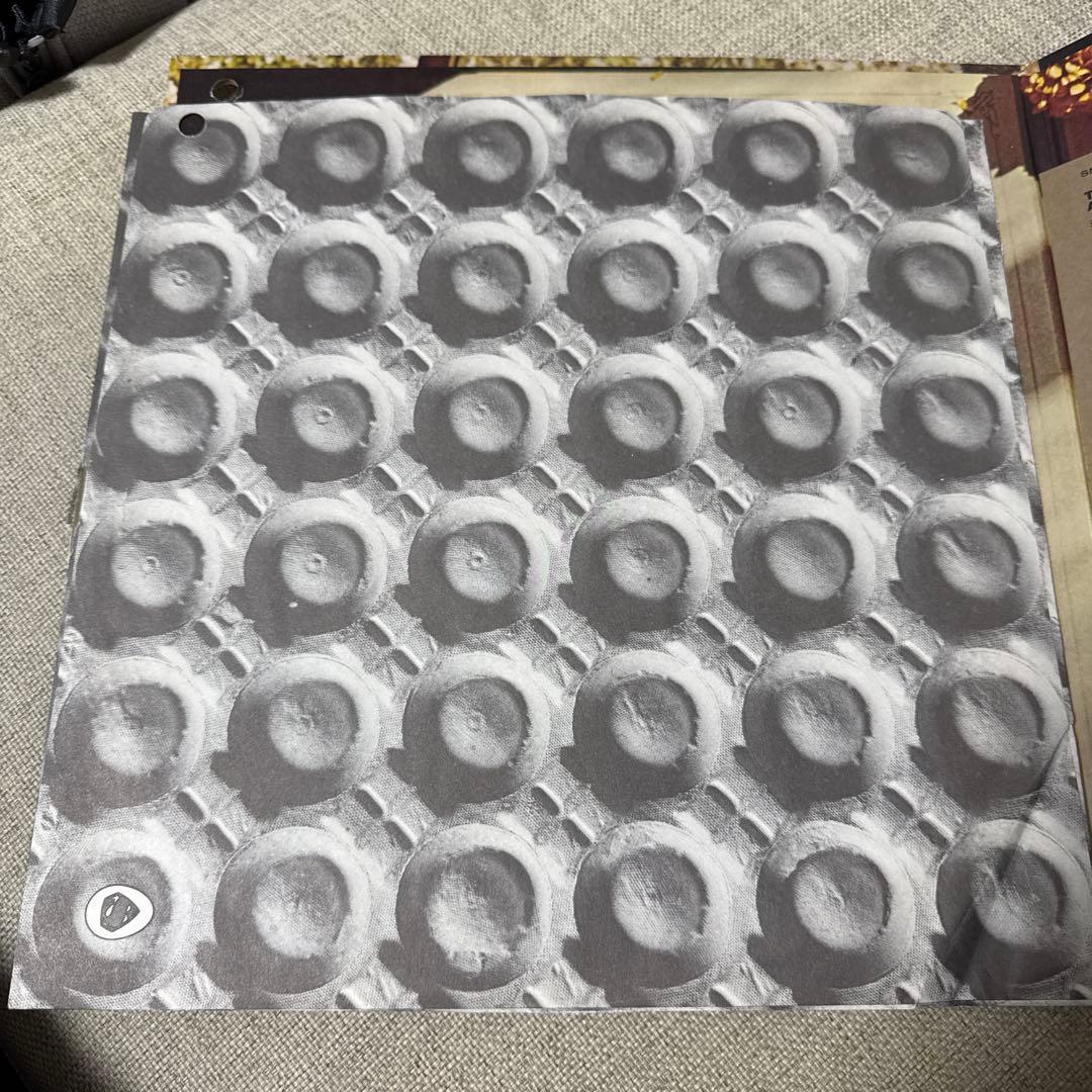 洋楽 Alan  / The Alan  Album