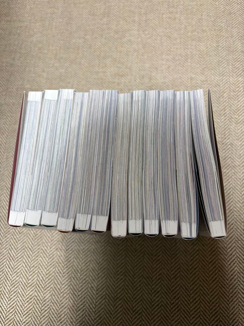 ある日、お姫様になってしまった件について 1〜12巻