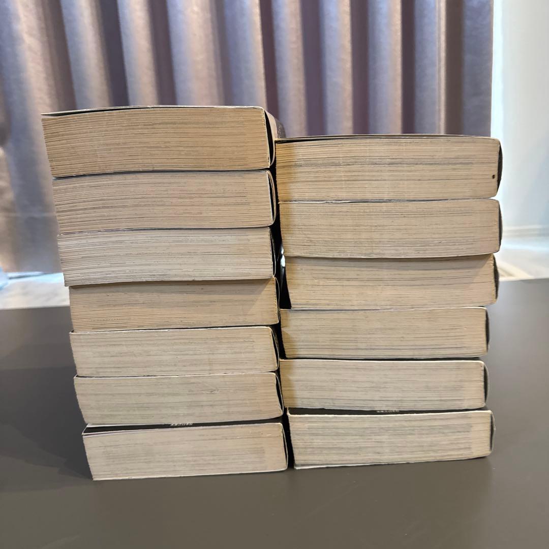 静かなるドン 全13巻 新井たつお