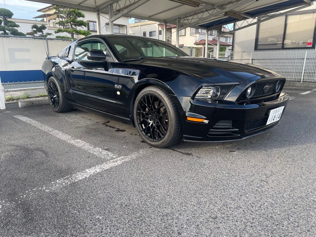 TSW セブリング　マットブラック　19インチ