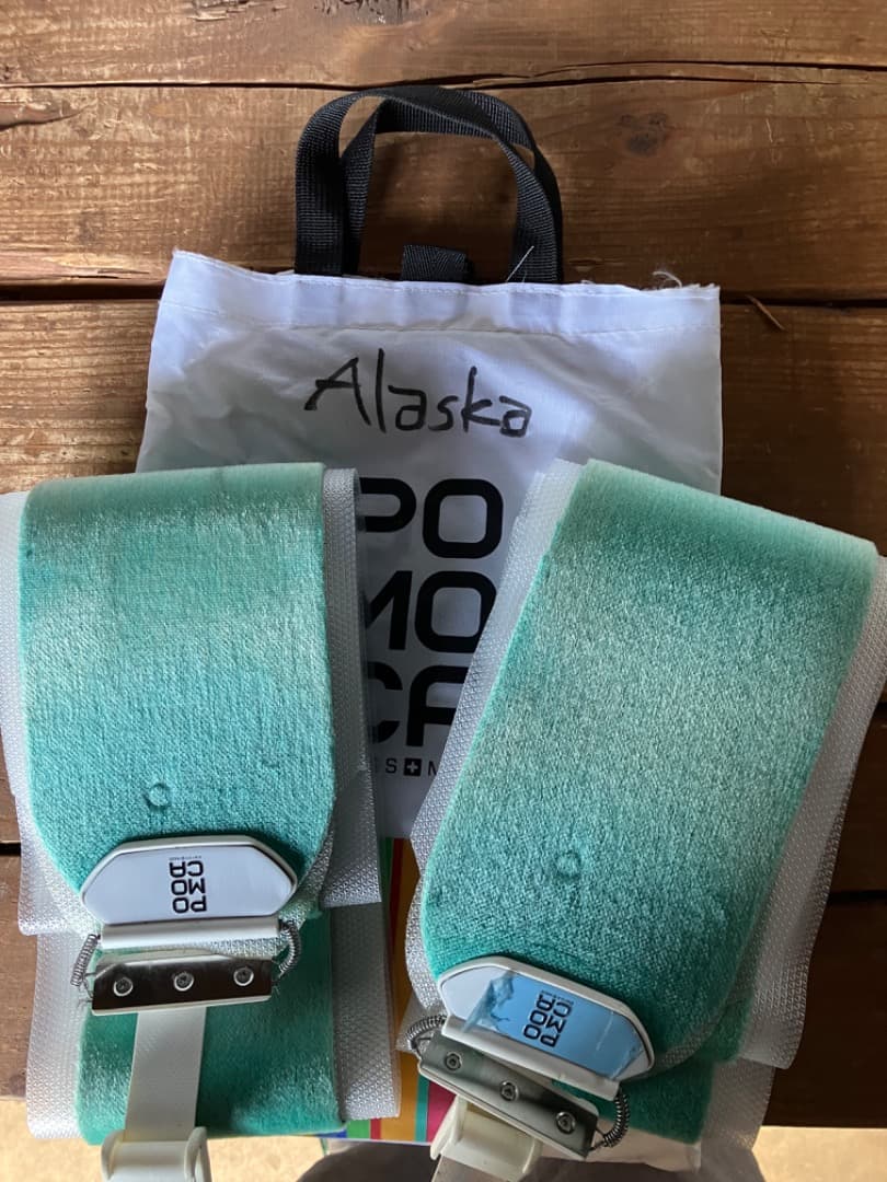 テレマークスキー板　Elan AlaskaPro 170㎝　ビンディング付き