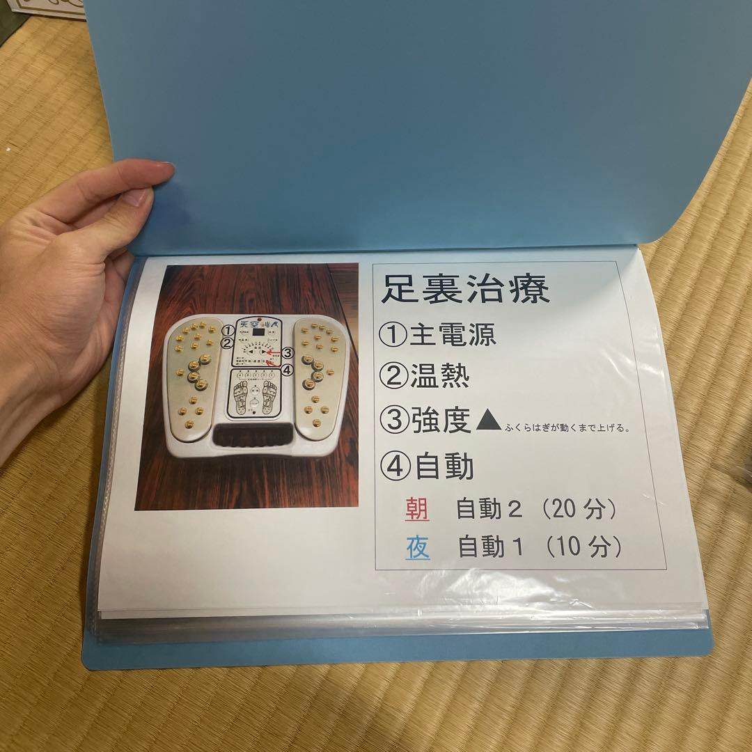 たんぽぽ 天空仙人 SE54-T