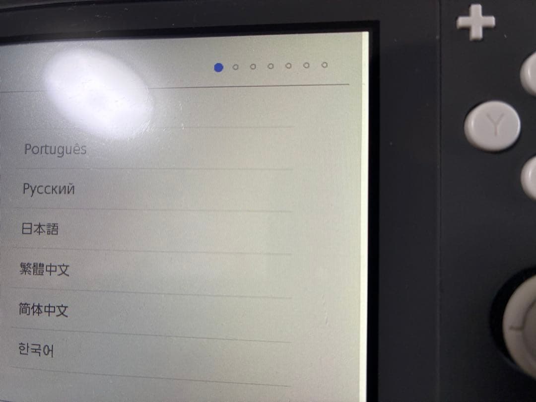 Nintendo Switch Lite 本体 スイッチ ライト 訳あり品