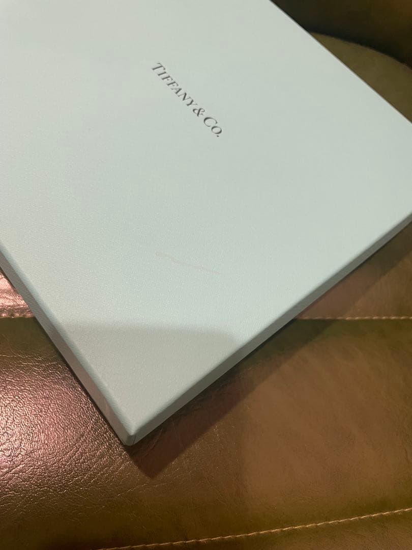 Tiffany & Co. ターコイズ プレート 2枚セット