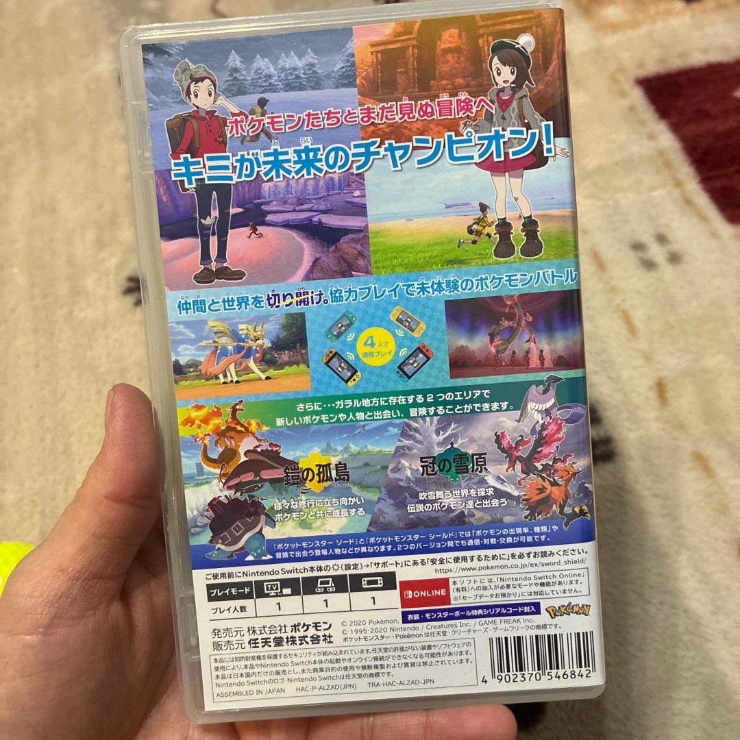 ポケットモンスター　ソード！エキスパンションパス！