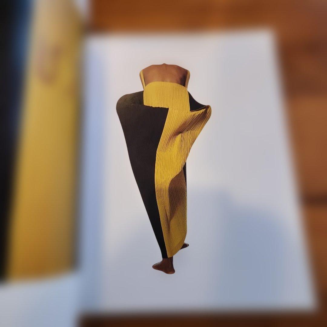 美品 ISSEY MIYAKE BY IRVING PENN 3000冊限定