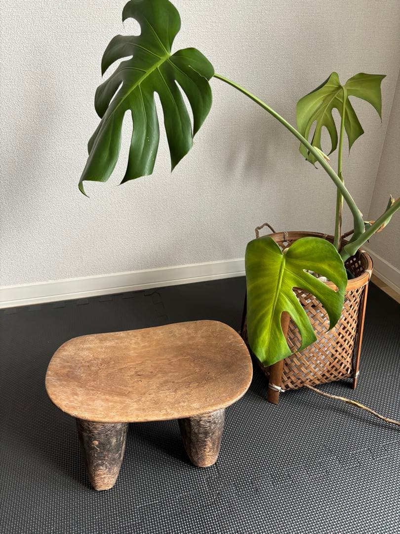 you 木製 曲線形状の座4本脚