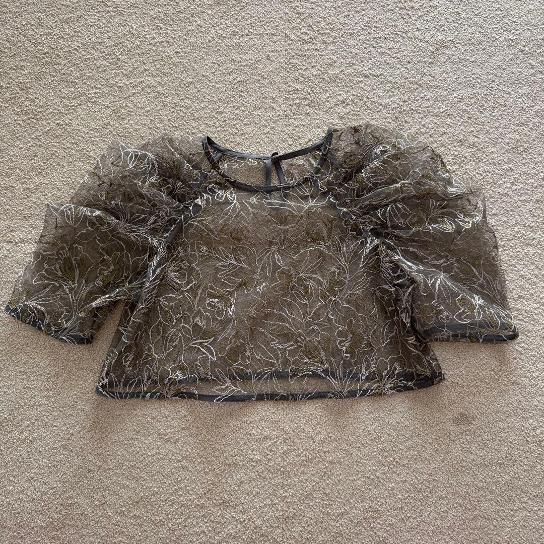 るさまetoll. Embroidered lace layered dress