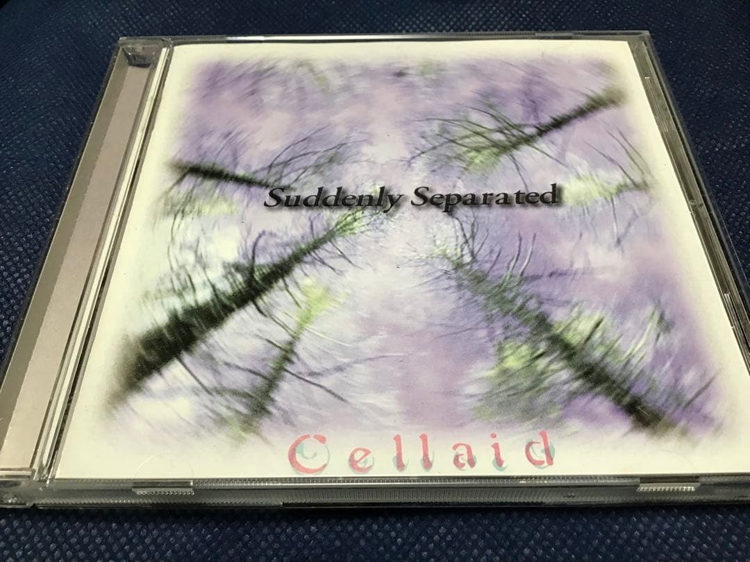中古 90年代Ｖ系 Cellaid \