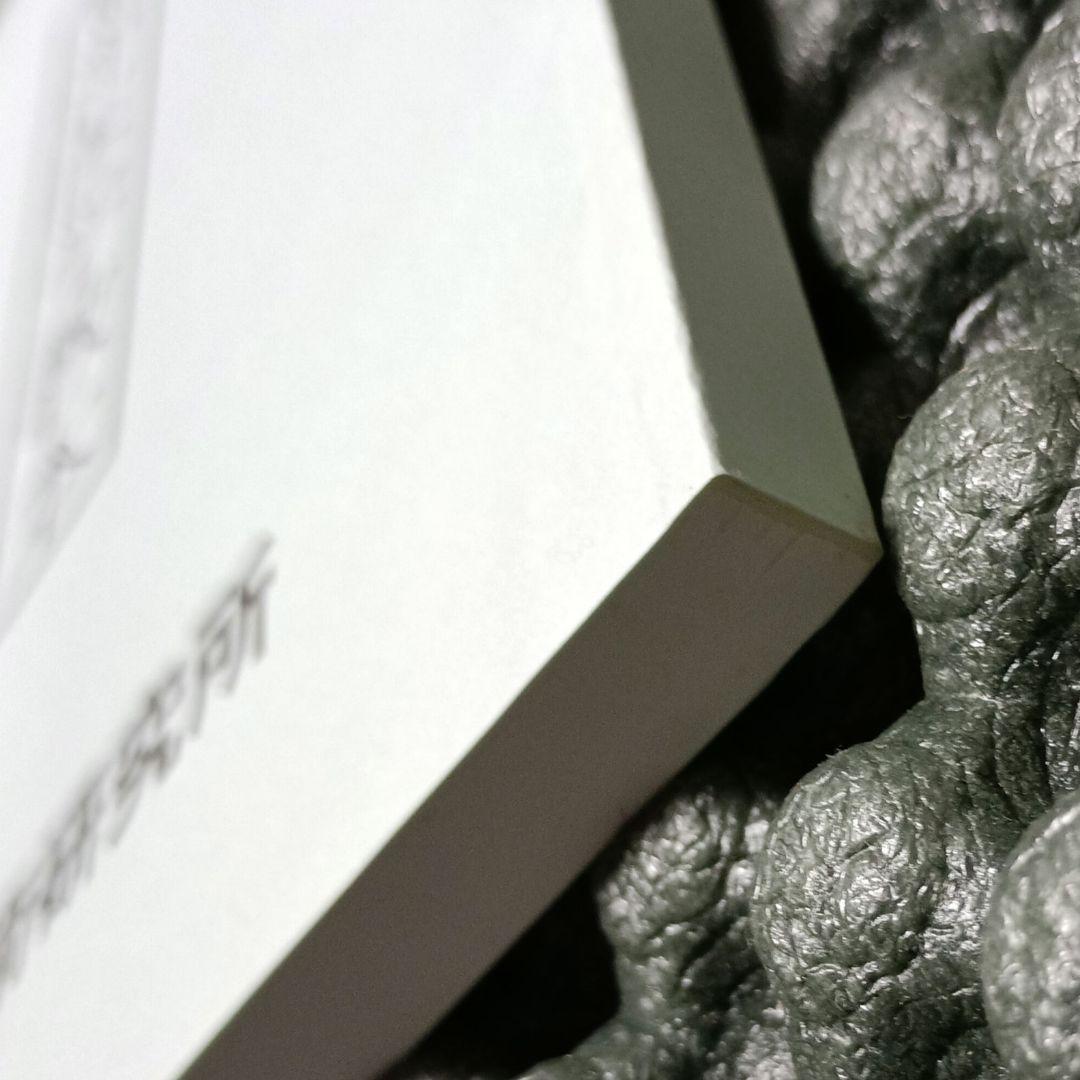 東洋医学教本　基礎学１　日本気功療術研究所