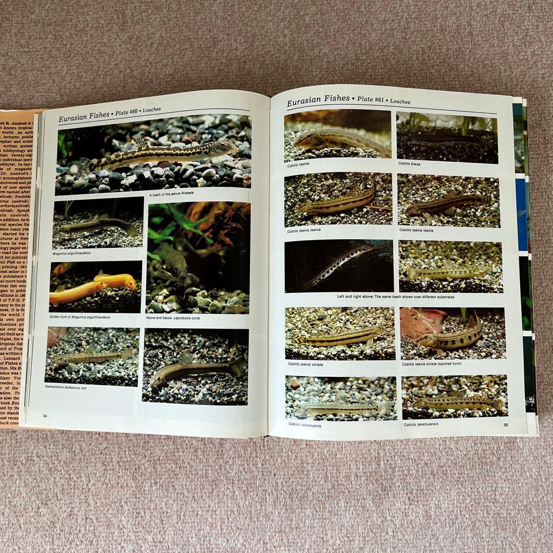 洋書　Dr. Axelrod's Atlas of 淡水観賞魚　大型本
