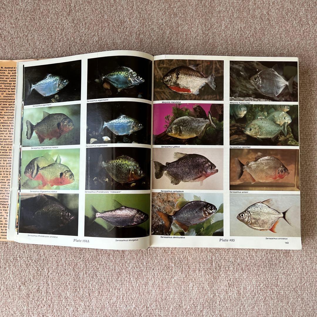洋書　Dr. Axelrod's Atlas of 淡水観賞魚　大型本