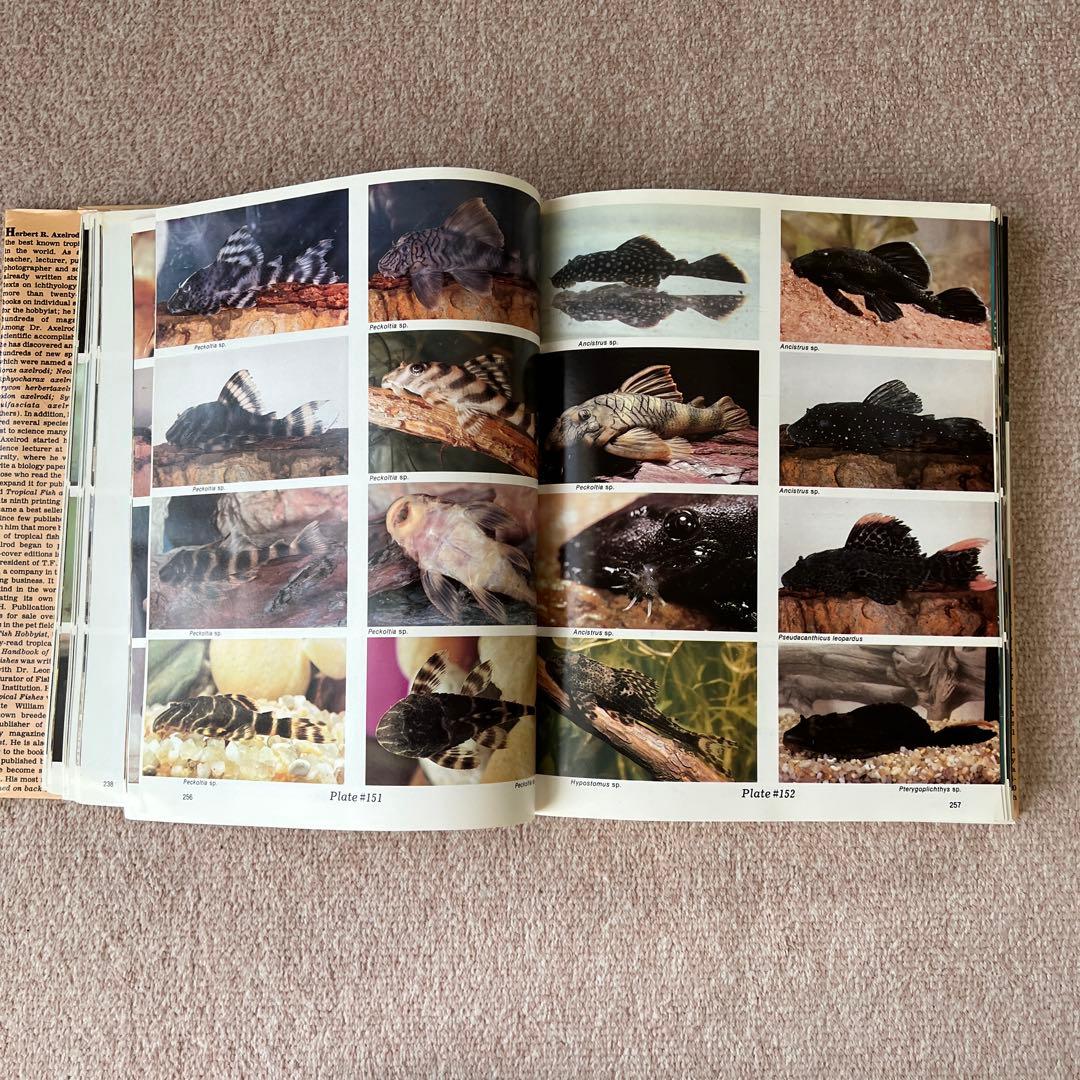 洋書　Dr. Axelrod's Atlas of 淡水観賞魚　大型本