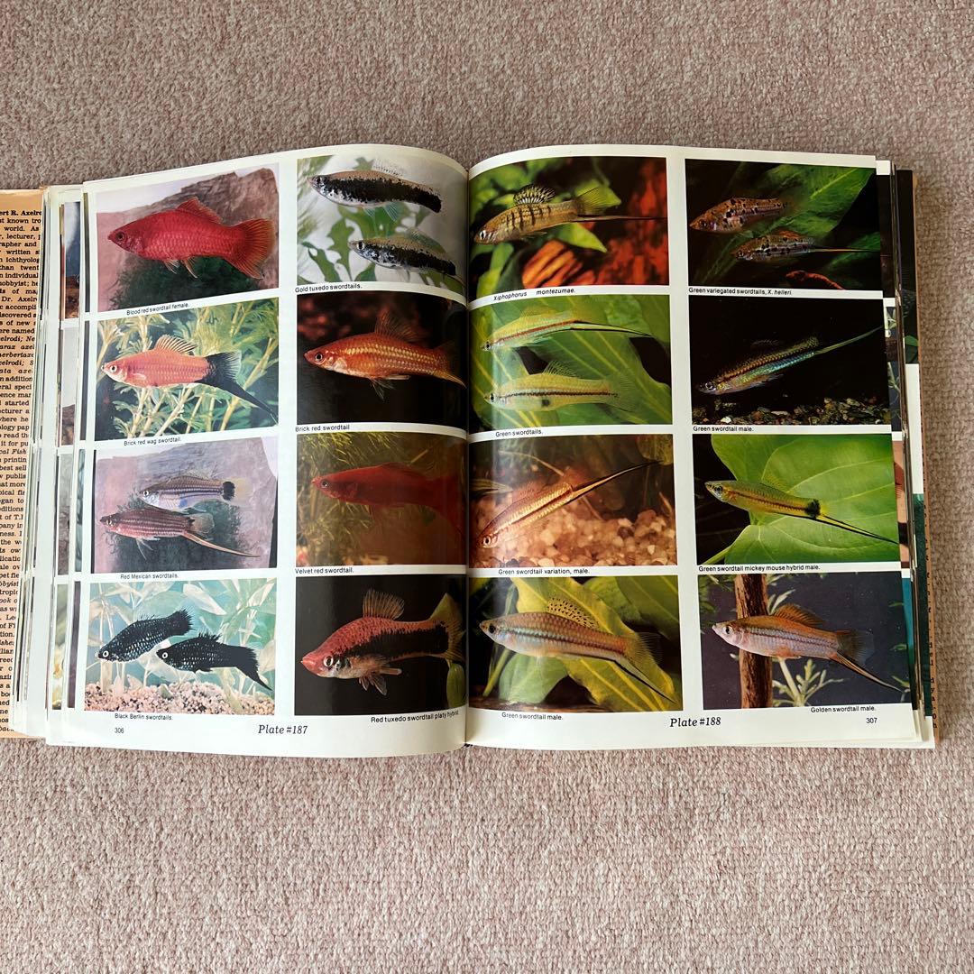 洋書　Dr. Axelrod's Atlas of 淡水観賞魚　大型本