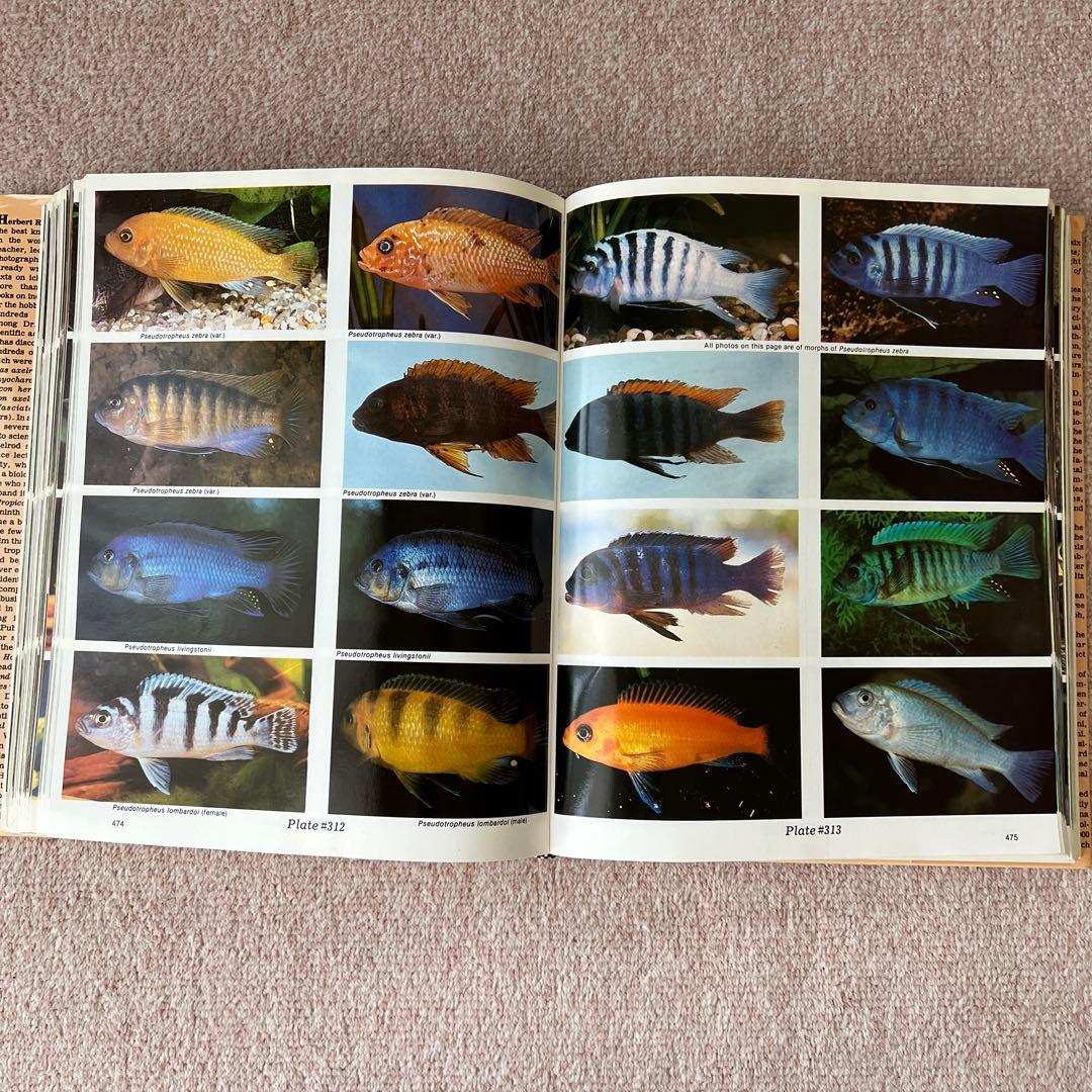 洋書　Dr. Axelrod's Atlas of 淡水観賞魚　大型本