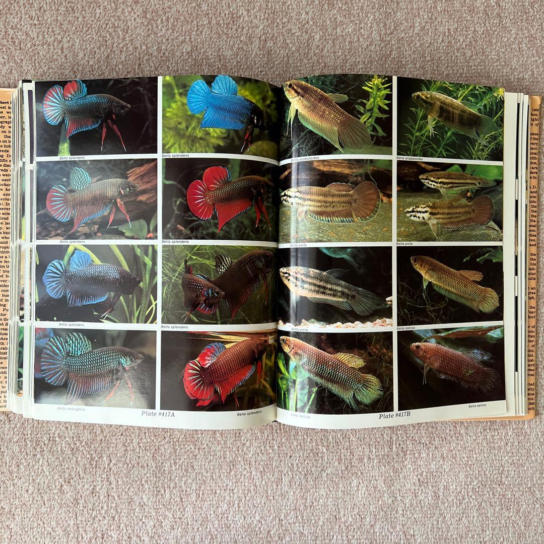 洋書　Dr. Axelrod's Atlas of 淡水観賞魚　大型本