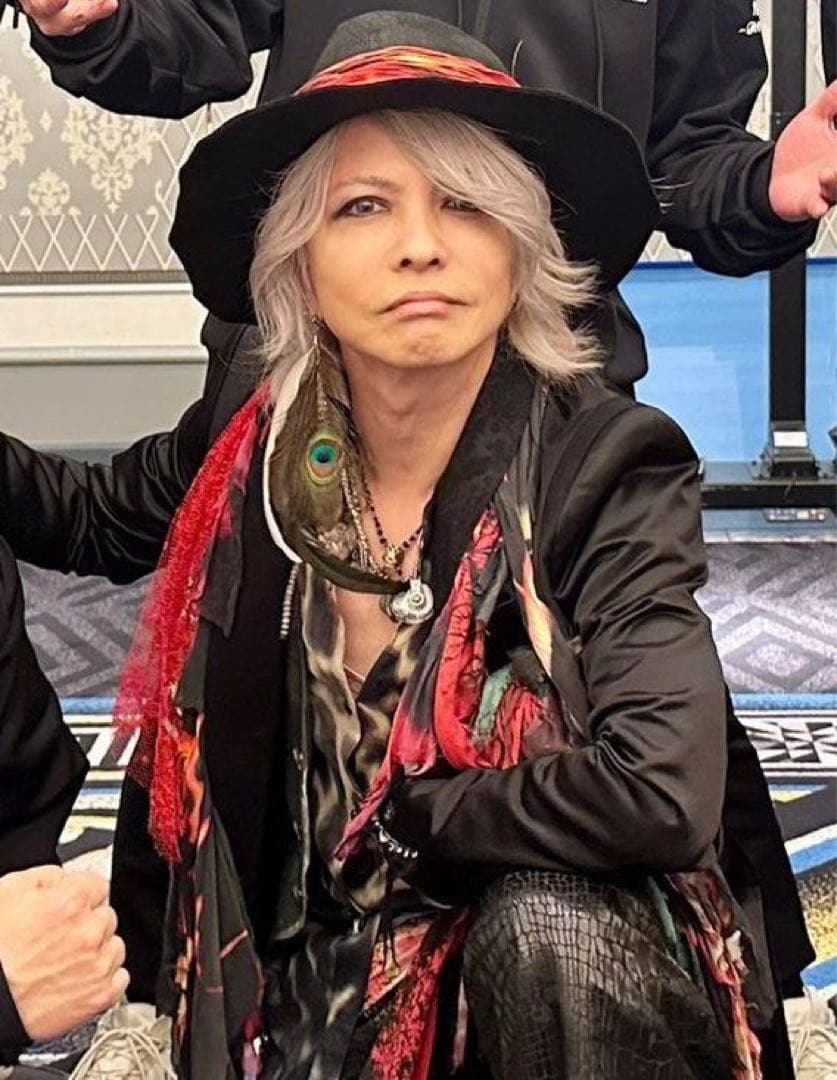 gunda HYDE着 Peacock PI ピーコックフェザー クロス ピアス