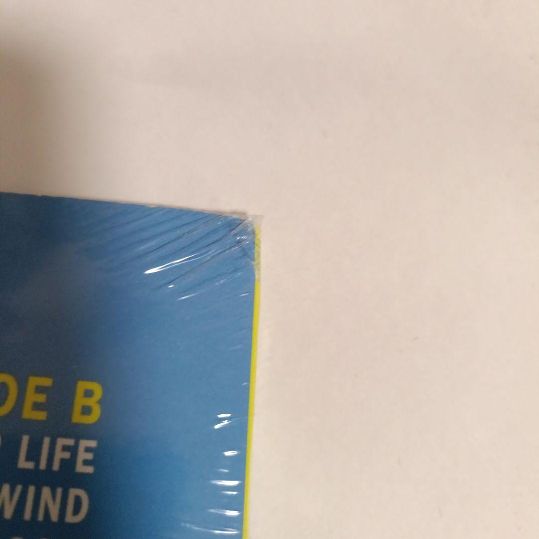 バケモノの子　サウンドトラック　高木正勝　アナログ盤　レコード