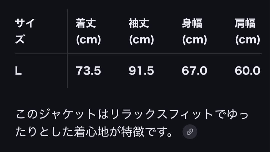 Dimito positivement. スノーボードジャケット L