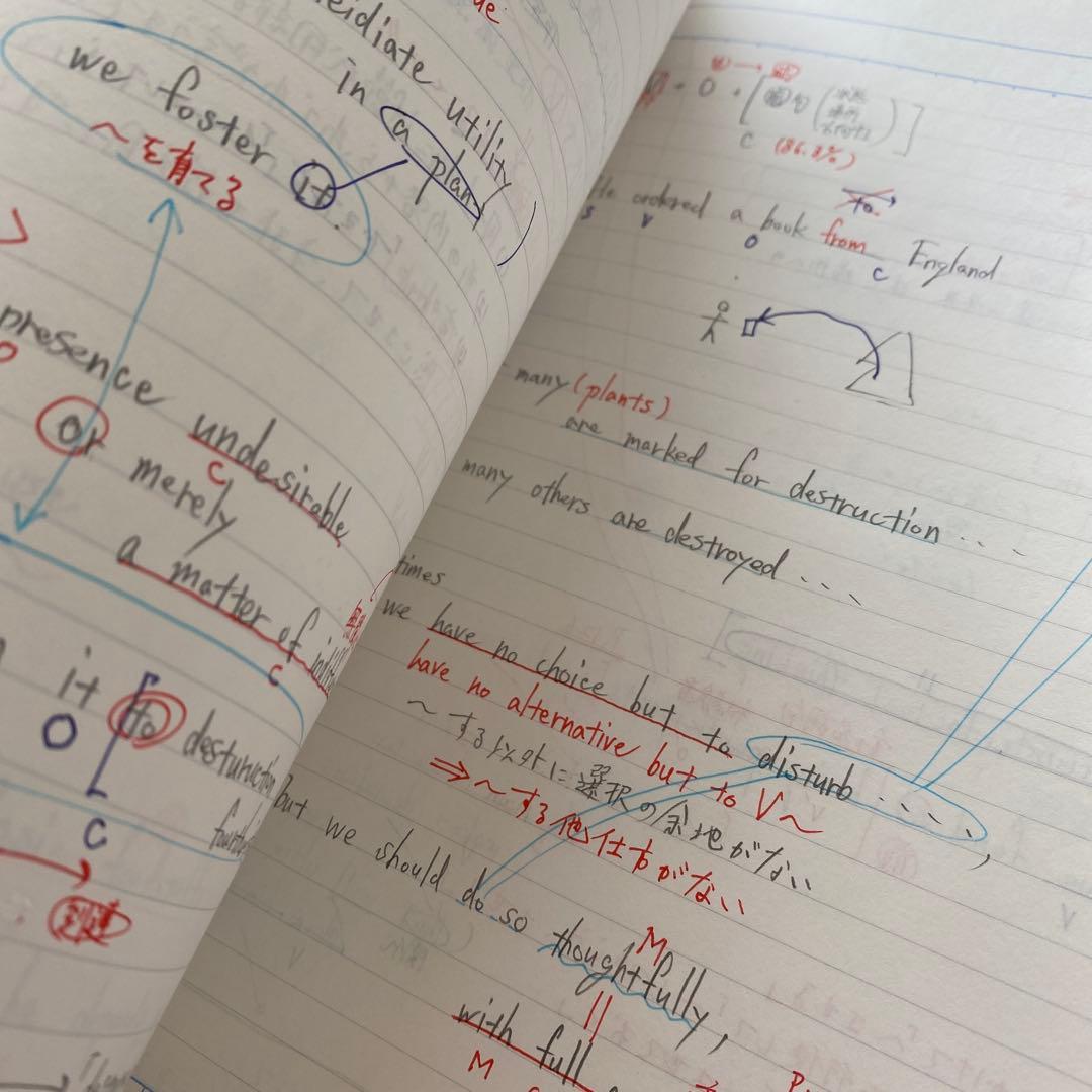 【丁寧な板書付き】代ゼミテキスト 国公立大医系英語 通年/夏期　佐々木和彦