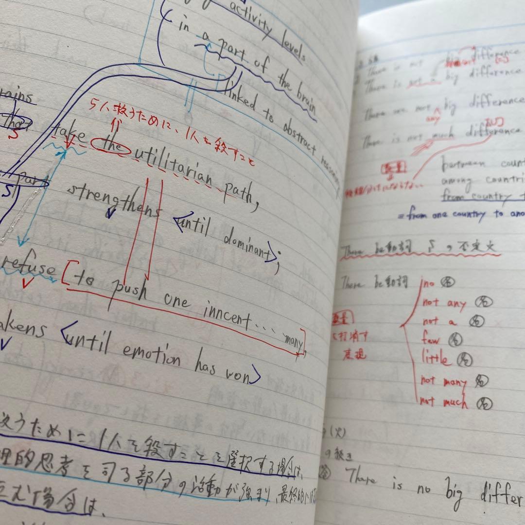 【丁寧な板書付き】代ゼミテキスト 国公立大医系英語 通年/夏期　佐々木和彦