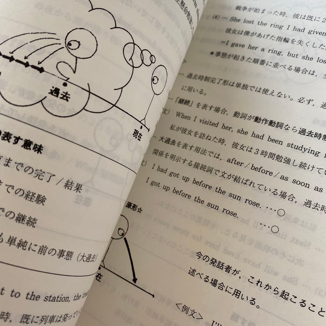 【丁寧な板書付き】代ゼミテキスト 国公立大医系英語 通年/夏期　佐々木和彦