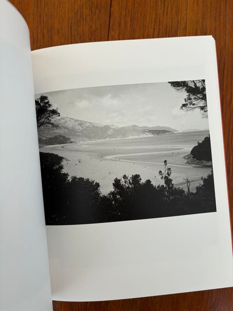 洋書 Katrin Koening