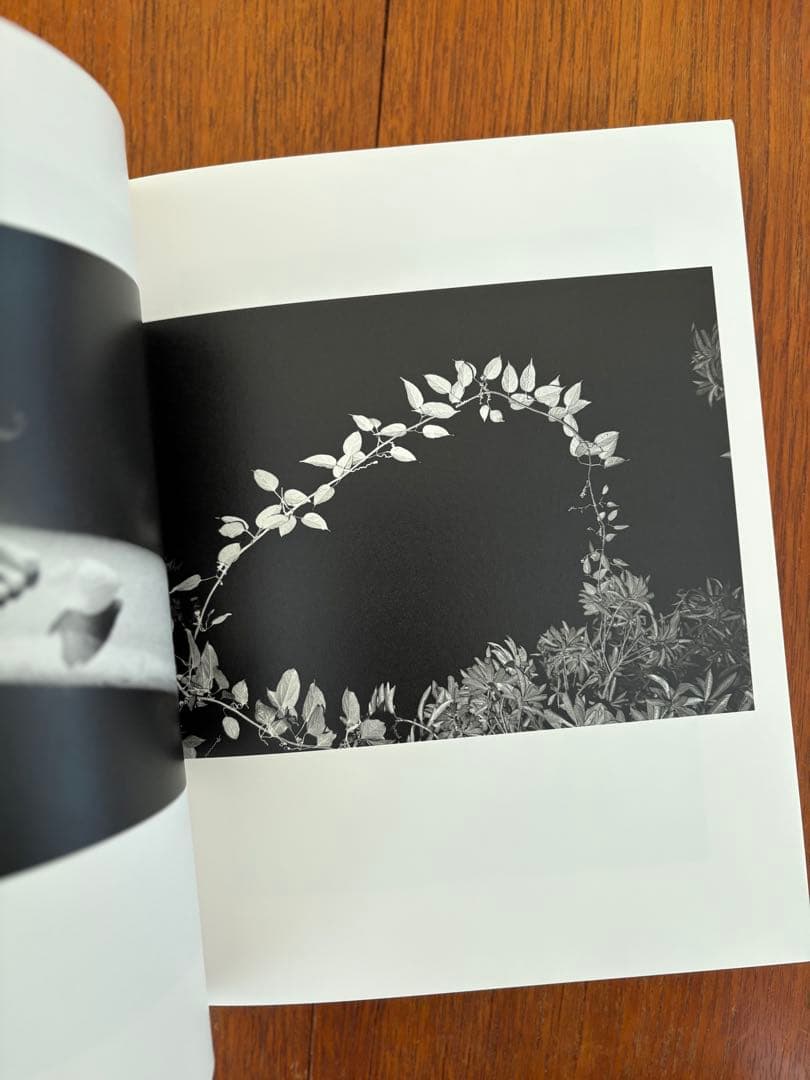 洋書 Katrin Koening