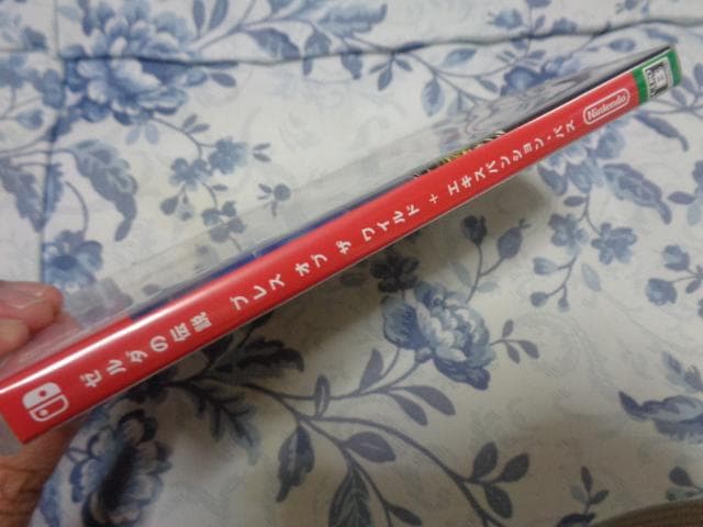 ゼルダの伝説 ブレス オブ ザ ワイルド + エクスパンション・パス 動作確認済