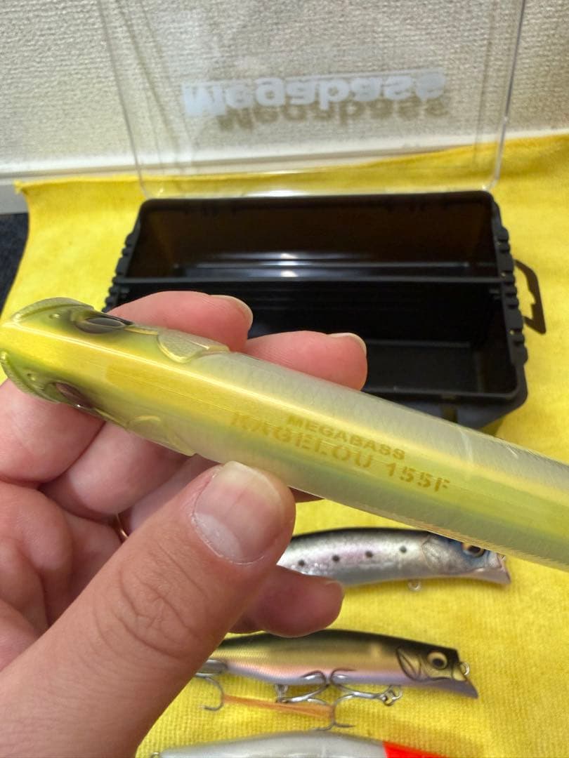 カゲロウセット