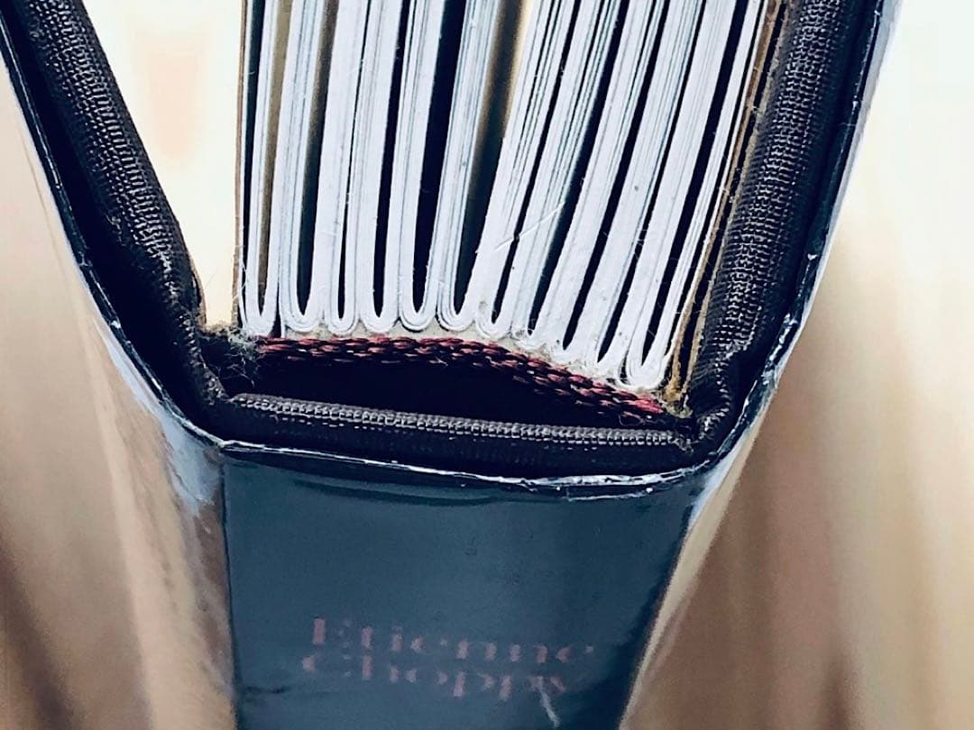 美術本 受胎告知 フランス語 西洋美術史 ルネサンス ルネッサンス