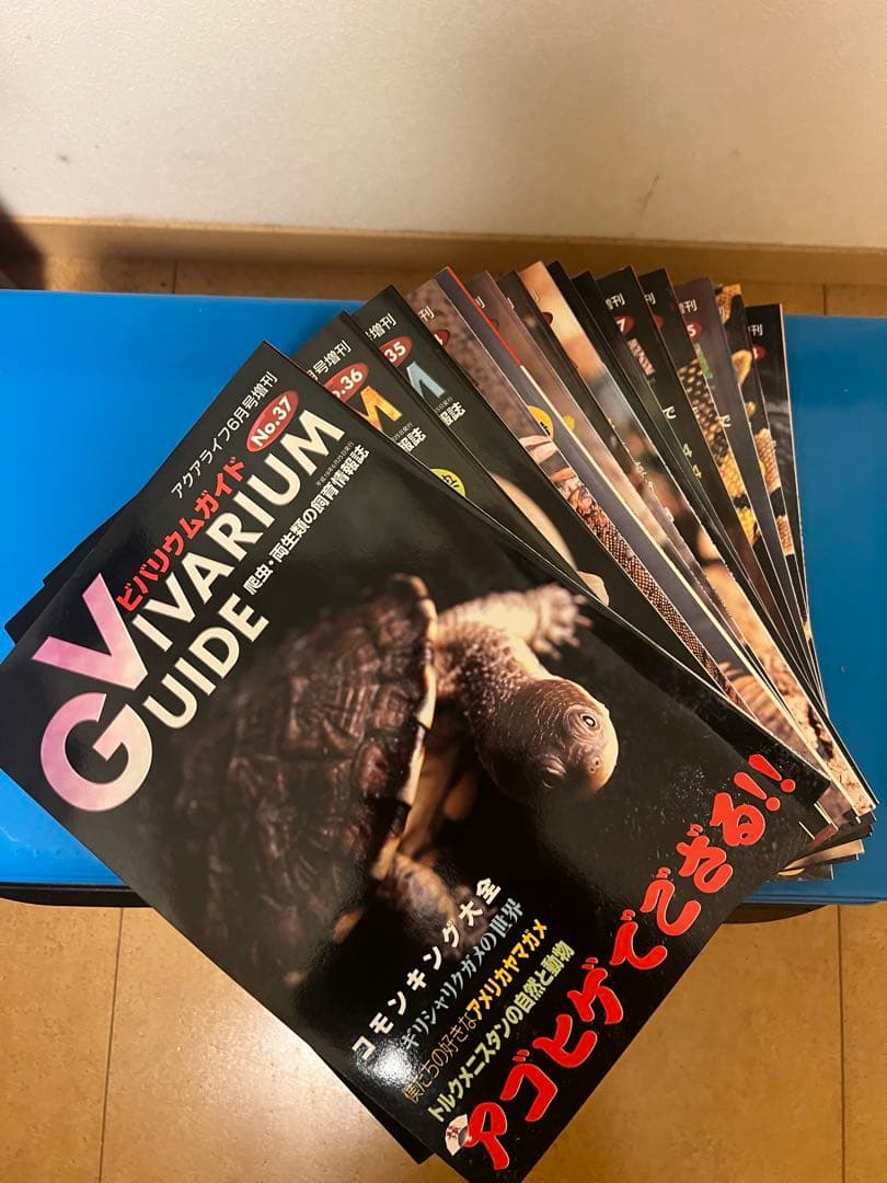 ビバリウムガイドNo8〜No37、創刊号
