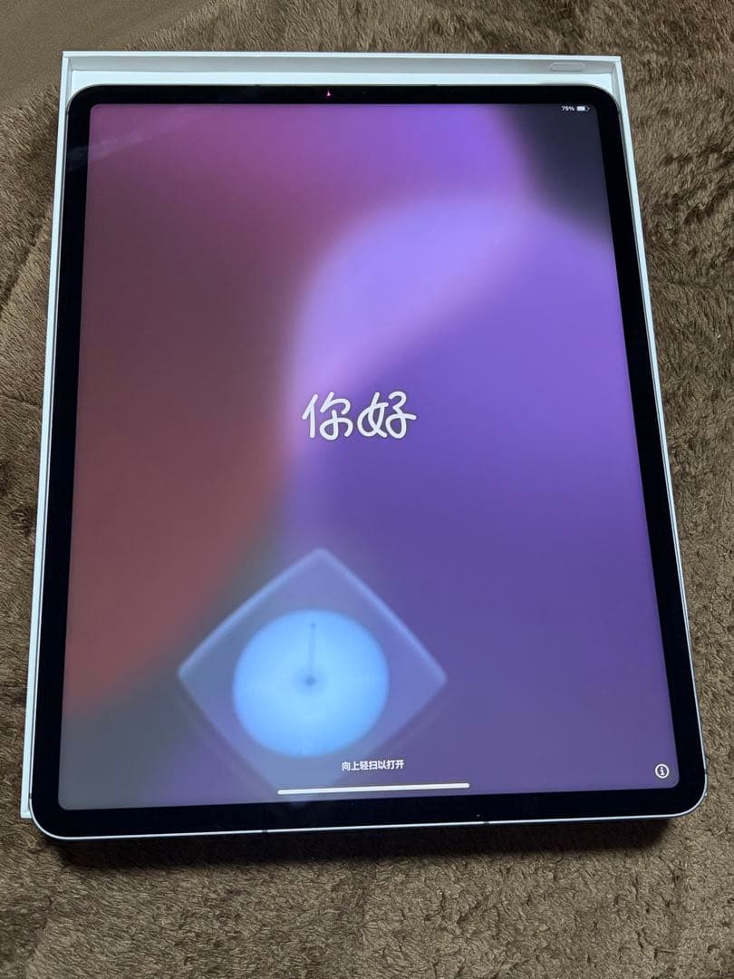 iPad Pro 第5世代 12.9 セルラー1TB